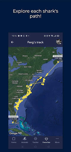 OCEARCH Shark Tracker screenshot 2