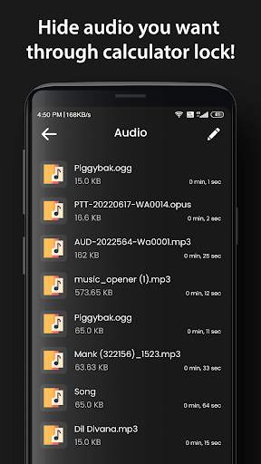 Calculator Lock Photo, Video screenshot 7