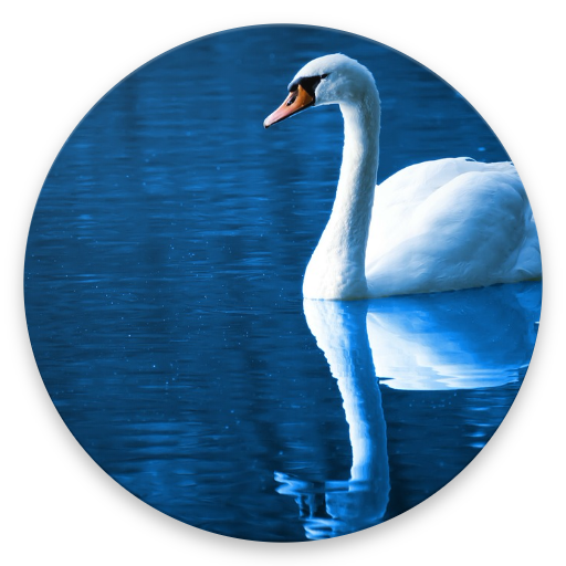 Relaxation Music आइकन