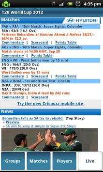T20 Cricket screenshot 4