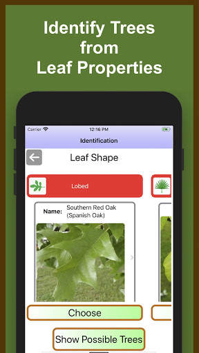 Forest Tree Identification скриншот 1