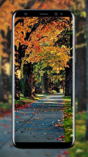 rain live wallpaper screenshot 1