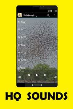 Birds Sounds screenshot 1