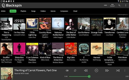 Backspin Music Player screenshot 10