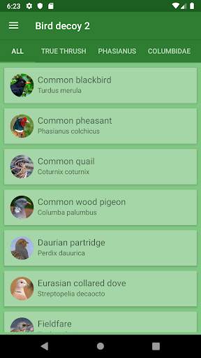 Decoy on the field bird screenshot 1