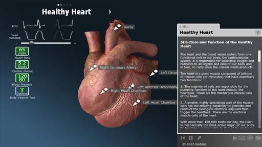 bodyxq heart screenshot 9