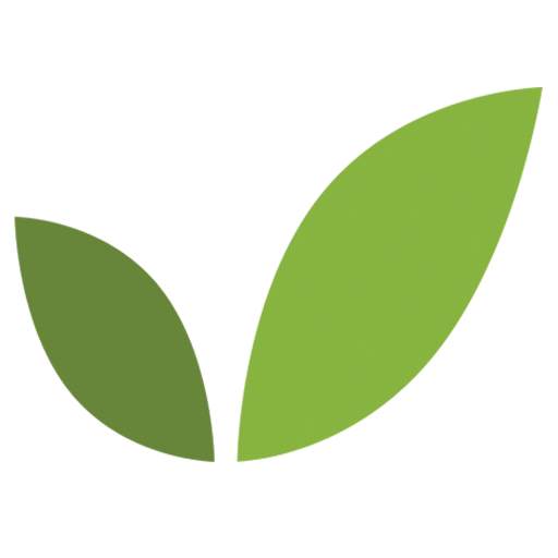 V Shopee 1.1