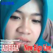 Guide Bigo Live 1.0