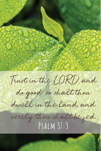 Bible Verses KJV screenshot 3