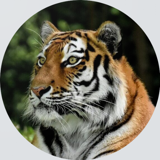 Animal Sounds icon