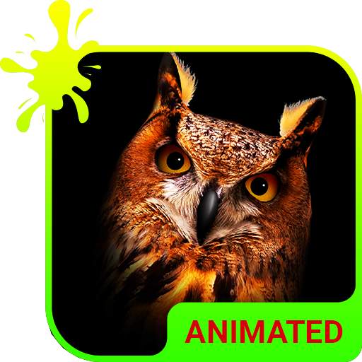 Owl Animated Keyboard   Live Wallpaper 3.63