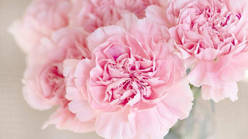 Pink Flowers Wallpaper screenshot 3