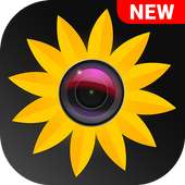 HD Gallery Video Player on 9Apps