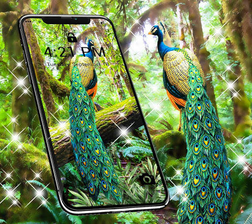 Peacock APUS Live Wallpaper screenshot 1
