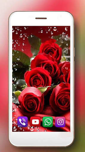 Red Roses Dew Live Wallpaper screenshot 5