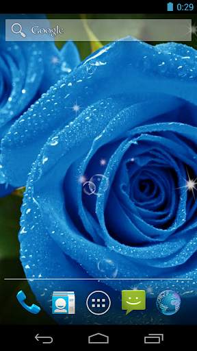 Blue Rose Live Wallpaper screenshot 1