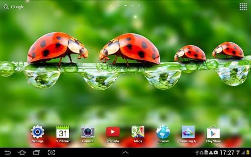 Macro Photos Live Wallpaper screenshot 6