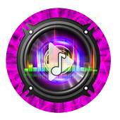 Pro mp3 Music Player 1.1