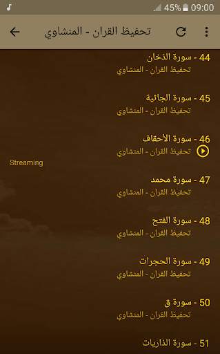 تحفيظ القران الكريم بصوت المنشاوي screenshot 5