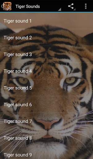 Tiger Sounds screenshot 1