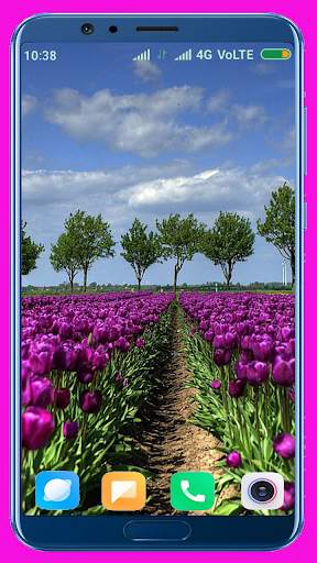 Tulips Flower Wallpaper Best 4K screenshot 4