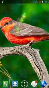 Moving Bird Live Wallpaper screenshot 2