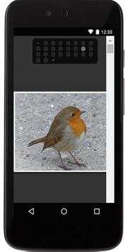 Birds Sounds स्क्रीनशॉट 4