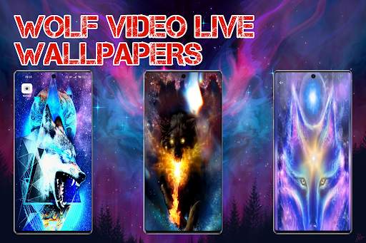 Wolf Video Live Wallpaper HD screenshot 2