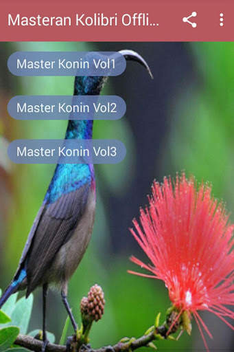 Masteran Kolibri Ninja Offline screenshot 4