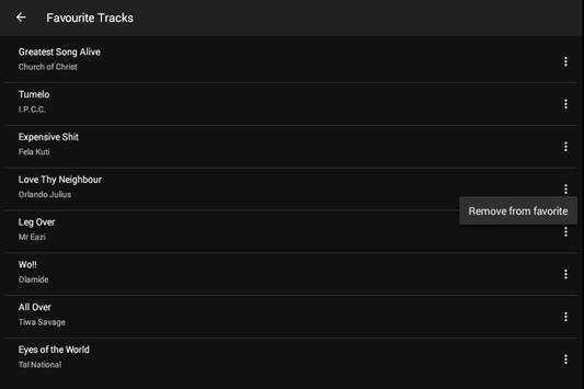PA Music Player screenshot 10