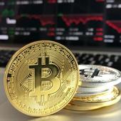Daily Crypto Signals icon