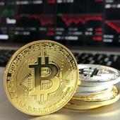Daily Crypto Signals