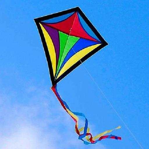 Makar Sankranti status video 2019 1 تصوير الشاشة