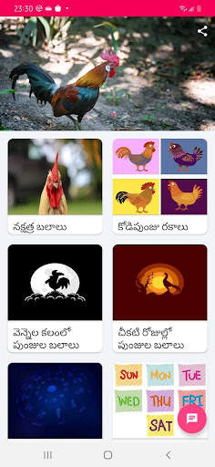 Kodi Sastram screenshot 4