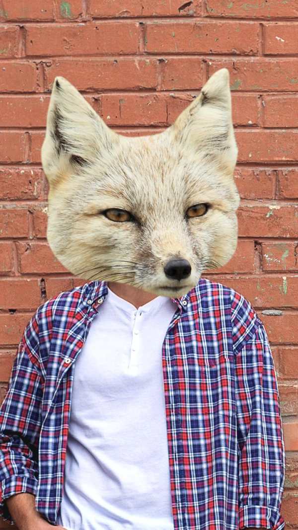 Animal Face Photo Changer 5 تصوير الشاشة