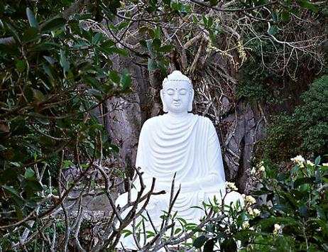 THE DHAMMAPADA screenshot 3