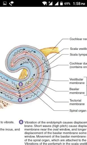 Doctor Study Notes скриншот 6