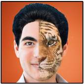 Face2Face funny photo effects 1.4
