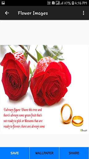 Flower Images screenshot 4