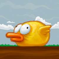 Run bird!