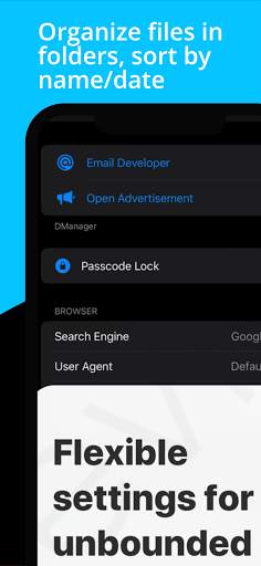 Dmanager Browsing Downloader screenshot 5