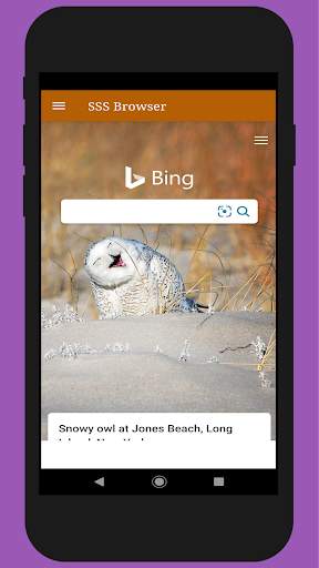 SSS Browser screenshot 4