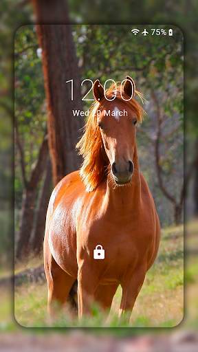 Horse Wallpaper HD: Themes screenshot 4