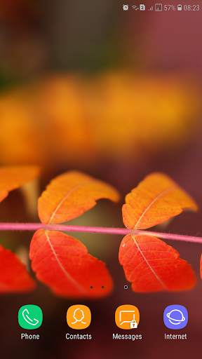 Orange Color Wallpaper 12 تصوير الشاشة