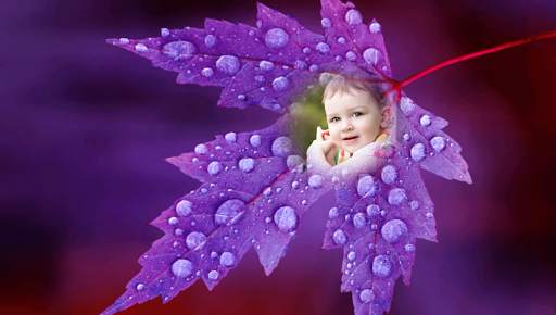 Leaf Photo Frames screenshot 2