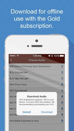 Bible Audio screenshot 6