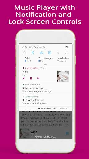 Pregnancy Music - Classical (Offline ) screenshot 6