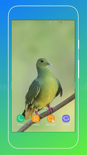Pigeon Wallpaper screenshot 8