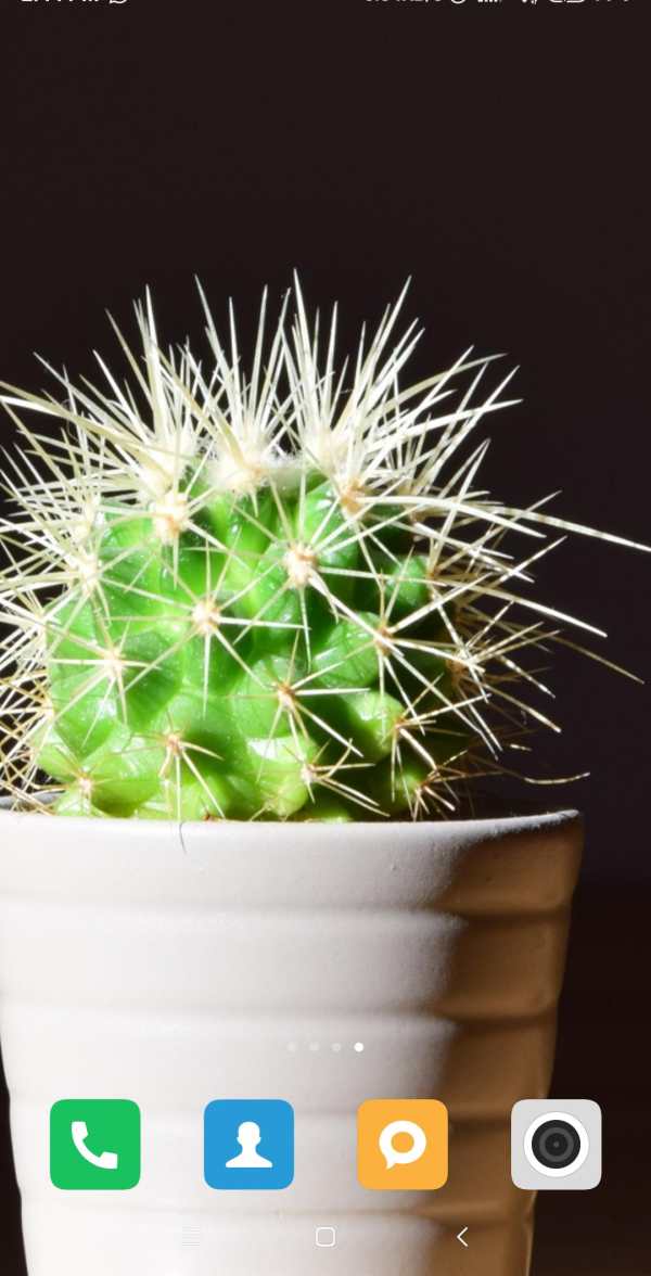 Cactus Wallpaper screenshot 3