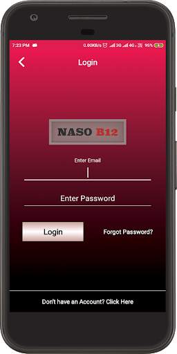 NASO B12 screenshot 2